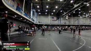 84 lbs Round 6 (10 Team) - Matteo Danise, Mat Assassins vs Michael Mendick, CTWHALE