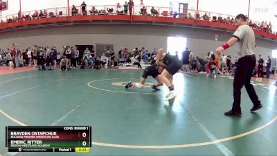 113 lbs Cons. Round 1 - Brayden Ostapchuk, Bulldog Premier Wrestling Club vs Emeric Ritter, Region Wrestling Academy