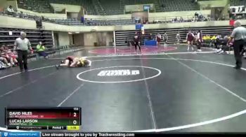 132 lbs Finals (2 Team) - Lucas Larson, Stewartville vs David Hiles, GET-Melrose/Mindoro