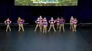 The Vision Dance Center [2018 All Star Mini Jazz - Small] UDA National Dance Team Championship