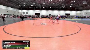 145 lbs Cons. Round 2 - Tia Thorn, Liberty North vs Cameron Roark, Westmoore