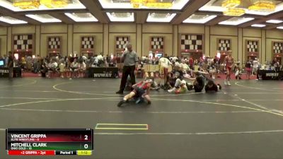 95 lbs Round 4 (6 Team) - Mitchell Clark, Ohio Gold vs VINCENT GRIPPA, Elite Wrestling