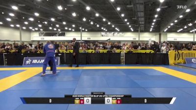 David Anderson vs Duc Nhan Nguyen 2025 World Master IBJJF Jiu-Jitsu Championship