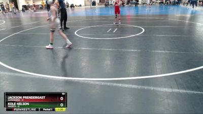 85 lbs Placement (4 Team) - Kole Nelson, Waseca vs Jackson Prendergast, Alexandria