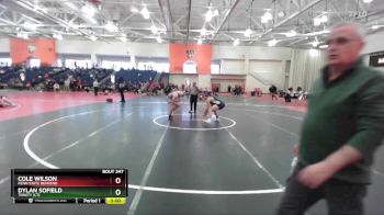 184 lbs Cons. Round 3 - Cole Wilson, Penn State Behrend vs Dylan Sofield, Trinity (CT)