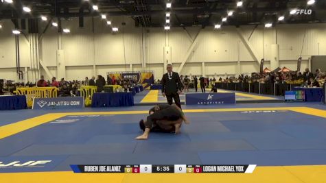 Logan Michael Yox vs Ruben Joe Alaniz 2024 World IBJJF Jiu-Jitsu No-Gi Championship