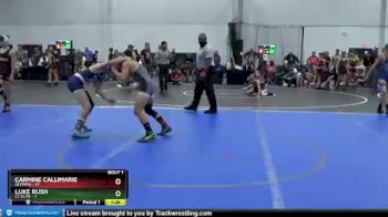 110 lbs Finals (2 Team) - Luke Rush, CT Elite vs Carmine Callimarie, Olympia