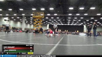 87 lbs 3rd Place Match - Cole Lemovitz, CT vs Coy Mehlert, IA