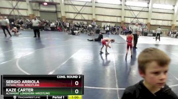 58 lbs Cons. Round 2 - Kaze Carter, Altamont Longhorn Wrestling vs Sergio ArrioLa, Payson Pride Wrestling