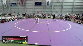 152 lbs Semis & 3rd Wb (16 Team) - Jaden Campos, Virginia vs Kole Katschor, Team Michigan Blue