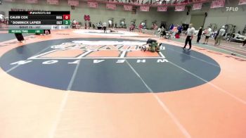 157 lbs Champ. Round 1 - Dominick Lapier, Castleton vs Caleb Cox, Wheaton
