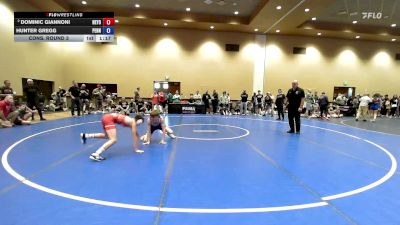 100 lbs Cons. Round 3 - Dominic Giannoni, New York vs Hunter Gregg, Pennsylvania