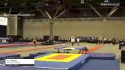 AJ Thomas - Double Mini Trampoline, Dynamic Gymnastics - 2021 USA Gymnastics Championships