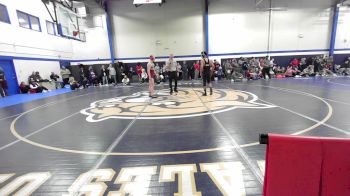 141 lbs Quarterfinal - Nate Nagel, Norwich vs Tylor Stubbs, Williams