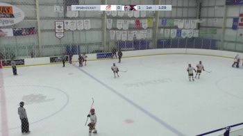 Replay: Home - 2025 Fire Red U18 AAA vs Steelers | Feb 23 @ 3 PM