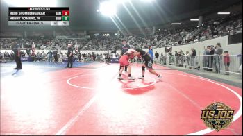 100 lbs Quarterfinal - Remi Stumblingbear, Darko Valley Wolfpak vs Henry Romero, IV, Wolfpak Wrestling