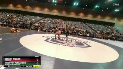 90-96 lbs Round 4 - Benson Tanner, USA Gold vs Kingston Alexander, Nevada Elite Wrestling