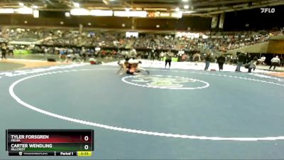 165 lbs Cons. Round 1 - Carter Wendling, Hillcrest vs Tyler Forsgren, Melba