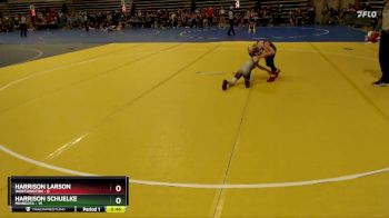 60 lbs Placement (4 Team) - Harrison Larson, Worthington vs Harrison Schuelke, Minneota