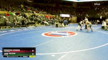 175 Class 4 lbs Cons. Round 1 - Donovan Hoskins, Mehlville vs Sage Wilson, Staley