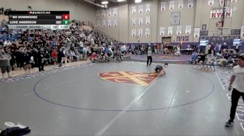 132 lbs Champ. Round 1 - Bo Dominguez, Brentwood Aca. vs Luke Anderson, Bartlett