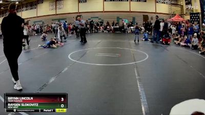 55-60 lbs Quarterfinal - Brynn Lincoln, Team Tugman vs Raygen Slokovitz, New Kent