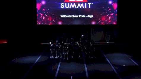 Wildcats Cheer Pride - Jags [2019 L1 Small Youth Semis] 2019 The D2 Summit