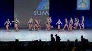 The Vision Dance Center - Youth Allstars [2019 Large Youth Contemporary/Lyrical Semis] 2019 The Summit