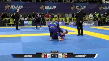 Julian Schnöpf vs Eric Fridlis 2026 European Jiu-Jitsu IBJJF Championship
