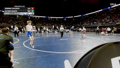 96 lbs Round Of 32 - Dominic Picciotti, Altoona vs Zayden Musch, Sharpsville