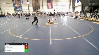 105 lbs Quarterfinal - CJ Caines, PA vs Bradley Ament, CT