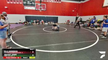 100 lbs Round 1 (3 Team) - Ella Anderson, All American Wrestling Club vs Destiny Jones, Hired Guns Red