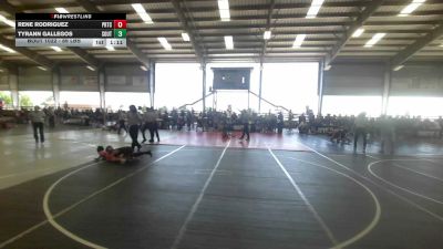 89 lbs Rr Rnd 2 - Rene Rodriguez, Prtc vs Tyrann Gallegos, Southwest Hammers