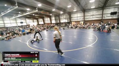 51 lbs 1st Place Match - Hayes Ence, Shootbox Wrestling Club vs Tadhg Maguire, Northside Wrestling Club