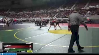 138 lbs Semifinal - Camry Carter, Casteel HS vs Lily Hunt, Liberty