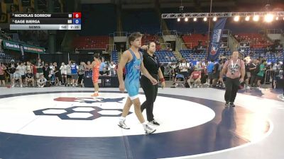 138 lbs Semis - Nicholas Sorrow, Michigan vs Gage Bjerga, Minnesota