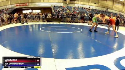 165 lbs Cons. Round 5 - Luke Kaiser, OH vs Ilia Dvoryannikov, IL