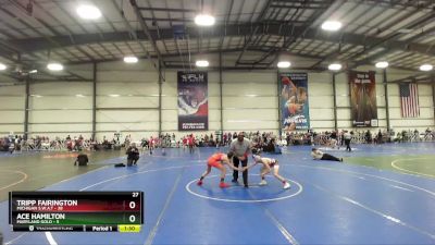 88 lbs Rd# 2 10:30am Friday - Tripp Fairington, Michigan S.W.A.T vs Ace Hamilton, Maryland GOLD