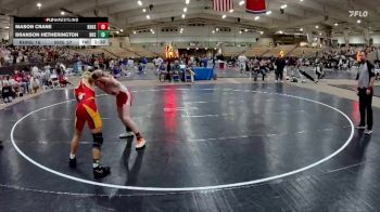 120 lbs 2nd Wrestleback (8 Team) - Branson Hetherington, Ravenwood High School vs Mason Crane, Knoxville Halls High School