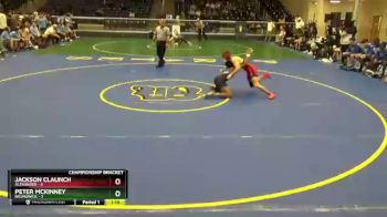 132 lbs Quarterfinals (8 Team) - Peter Mckinney, Brunswick vs Jackson Claunch, Alexander