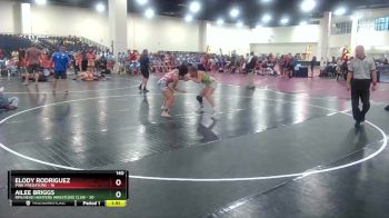 140 lbs Round 4 (8 Team) - Ailee Briggs, RPA/Head Hunters Wrestling Club vs Elody Rodriguez, Pink Predators
