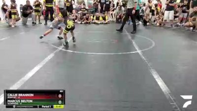 40 lbs Round 4 (8 Team) - Marcus Belton, Scorpions vs Callie Brannon, Rush WC