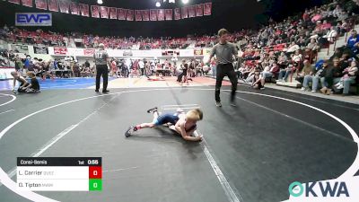 45 lbs Consolation - Lane Carrier, Quezada Wrestling Academy vs Oliver Tipton, Miami