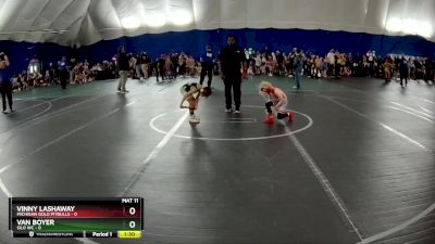 48 lbs Round 3 (3 Team) - Van Boyer, Silo WC vs Vinny Lashaway, Michigan Gold Pitbulls