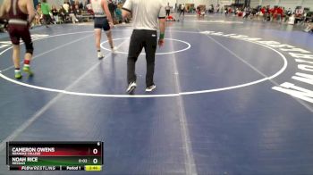 157 lbs Champ. Round 2 - Cameron Owens, Roanoke College vs Noah Rice, Messiah