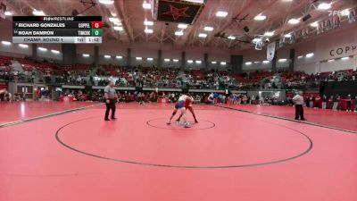 175 lbs Champ. Round 1 - Richard Gonzales, Coppell vs Noah Damron, Keller Timber Creek