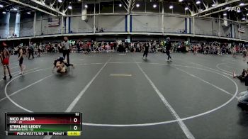 92 lbs Round 3 (10 Team) - Sterling Leddy, Brawler Elite vs Nico Aurilia, FLOW