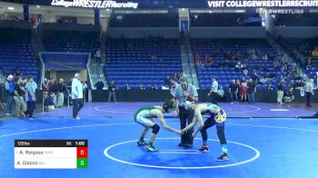 126 lbs Consolation - Alexander Reigosa, Hope vs Alexander Ciocco, Billerica