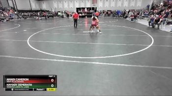 138 lbs Cons. Round 4 - Hayden Demerath, Wabeno/Laona/Th. Lakes vs Amadi Cameron, West Allis Central