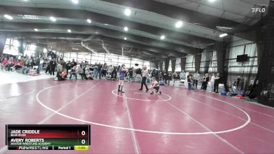 110 lbs Cons. Round 3 - Avery Roberts, Aviator Wrestling Academy vs Jade Criddle, Bear River